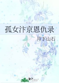 孤女汴京恩仇錄