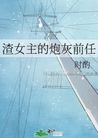 渣女主的炮灰前任